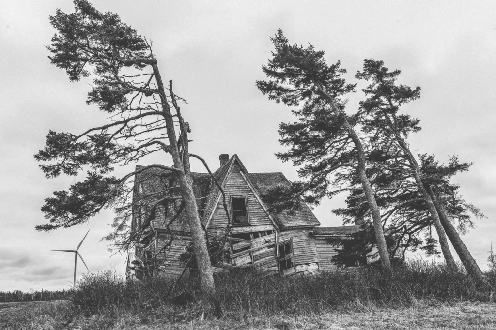 souffrance tempête